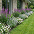 Pack Façade Plein Soleil Rose & Blanc - 18 plantes — photo 2