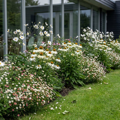 Pack Façade Soleil & Mi-Ombre Blanc - 18 plantes — photo 2