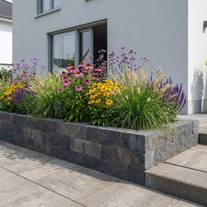 Pack Massif Plein Soleil Rose & Violet - 30 plantes — photo 5