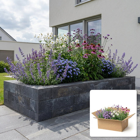 Pack jardin - composition prête à planter