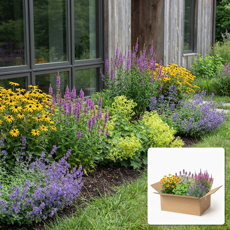 Pack jardin - composition prête à planter