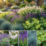 Pack Massif Soleil & Mi-Ombre Rose & Blanc & Jaune - 30 plantes — photo 3