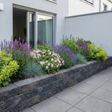 Pack Massif Soleil & Mi-Ombre Rose & Blanc & Jaune - 30 plantes — photo 5