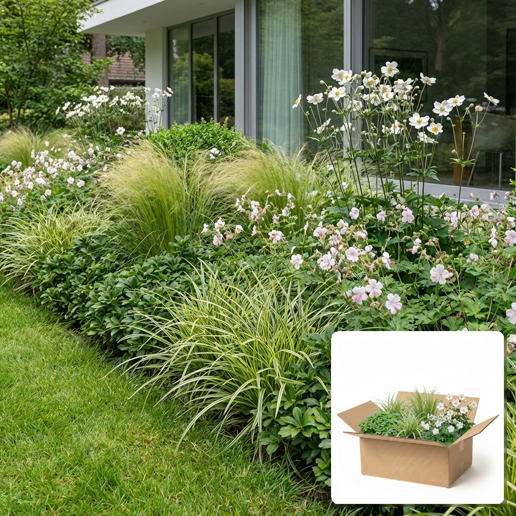 Pack jardin - composition prête à planter