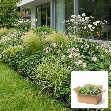 Pack jardin - composition prête à planter