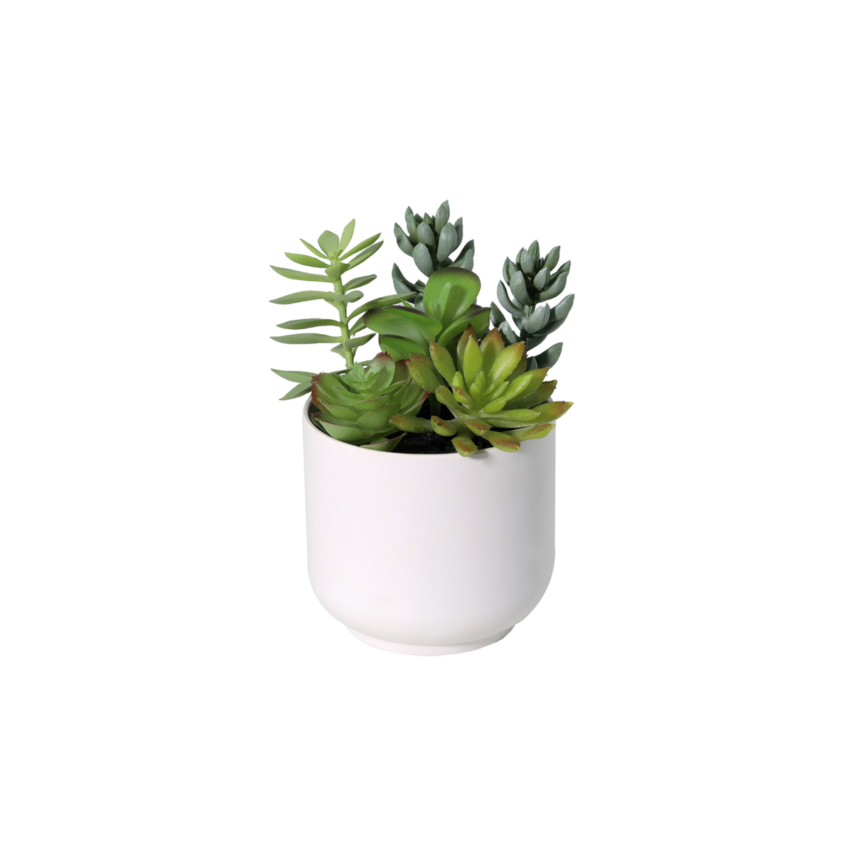 Succulentee pot inclus plante artificielle