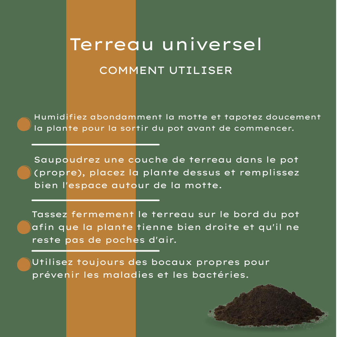 Terra Potgrond Universal 30 Litros Comprar – Para Plantas de Interior e Exterior