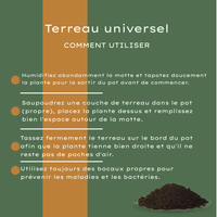Terra Potgrond Universal 30 Litros Comprar – Para Plantas de Interior e Exterior