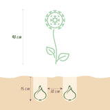 Ail d'ornement Purple Rain - calibre 10/12