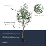 Kunst Olijfboom en pot plante artificielle