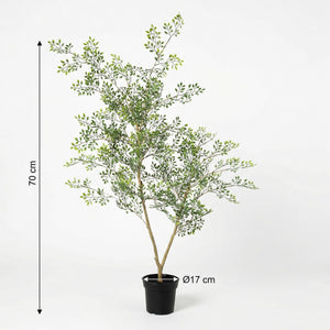 Bucida plante artificielle
