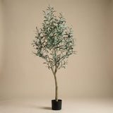 Kunst Olijfboom en pot plante artificielle