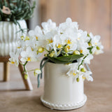 Orchidées Phalaenopsis blanches Botanic Nazaré - lot de 2 ou 4 - pot Ø9 cm