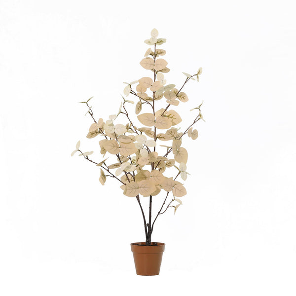 Eucalyptus blanc plante artificielle