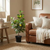 Citronnier plante artificielle