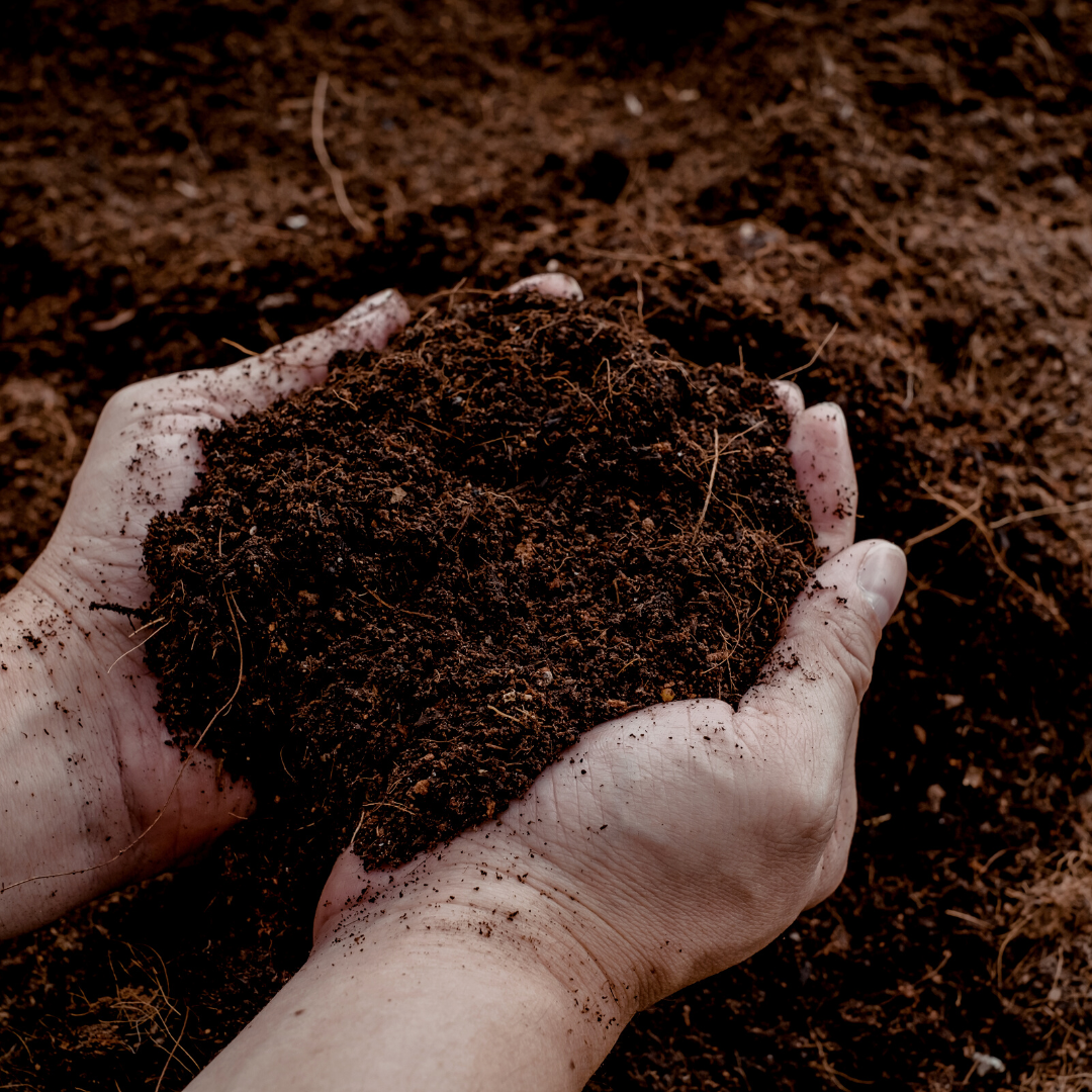 Terra Potgrond Universal 30 Litros Comprar – Para Plantas de Interior e Exterior
