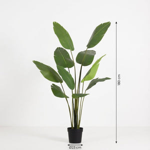 Strelitizia Nicolai plante artificielle