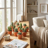 Mini cactus mix – Pots terracotta
