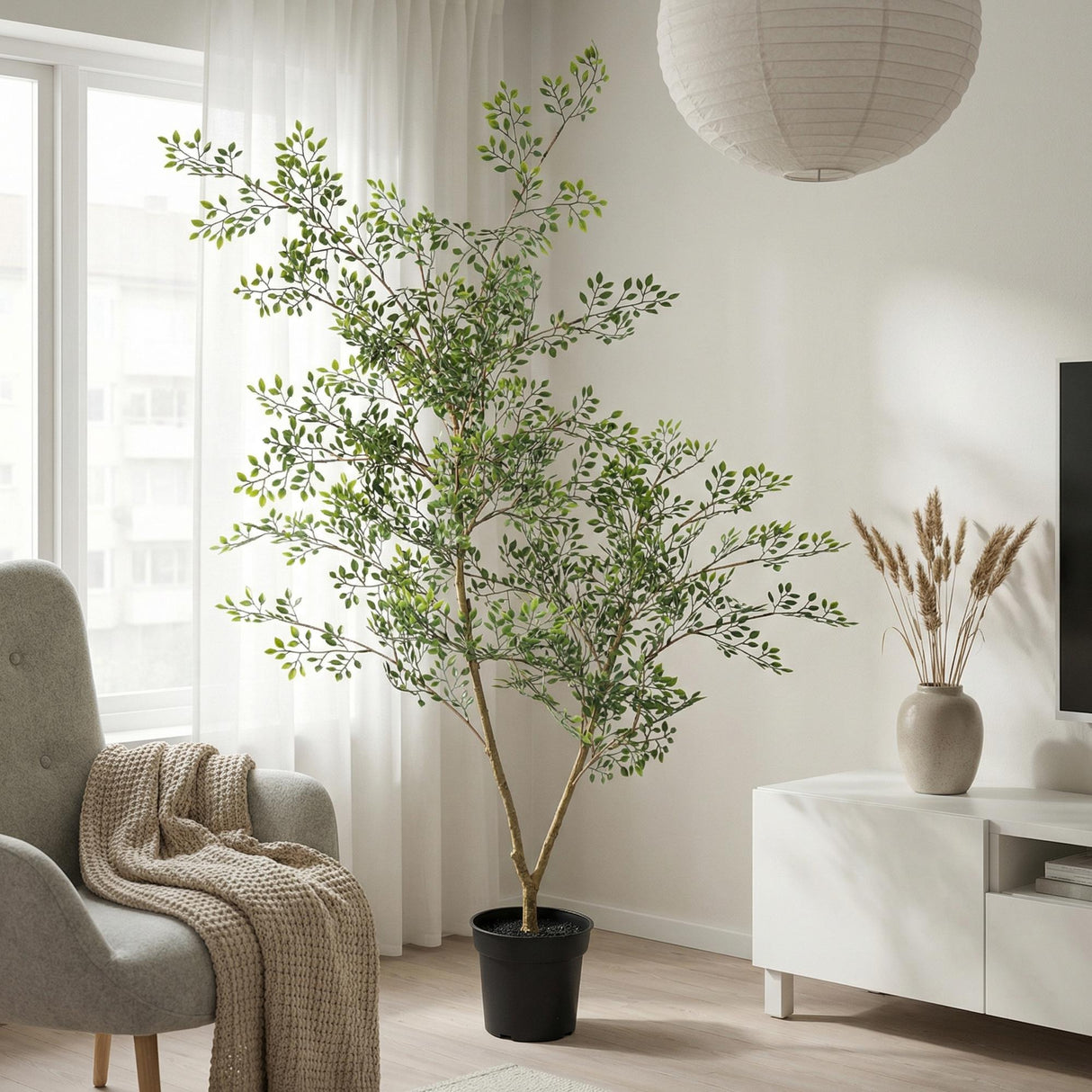 Bucida plante artificielle