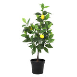 Citronnier plante artificielle