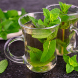 Kit de vivaces aromatiques à tisane - 24 plants pour 3 m² - H 25 cm, pot Ø11 cm