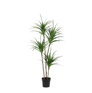 Dracaena Plante plante artificielle