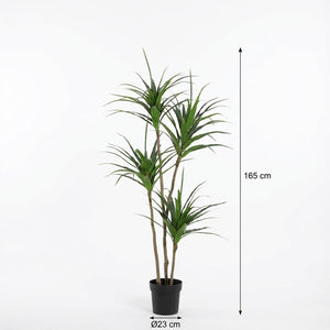 Dracaena Plante plante artificielle