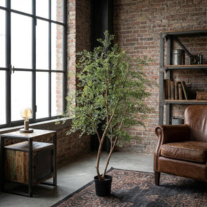 Cassia Arbuste plante artificielle