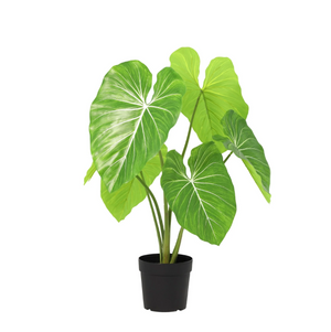 Philodendron plante artificielle