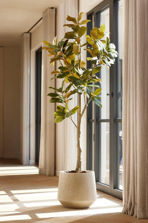 Magnolia plante artificielle