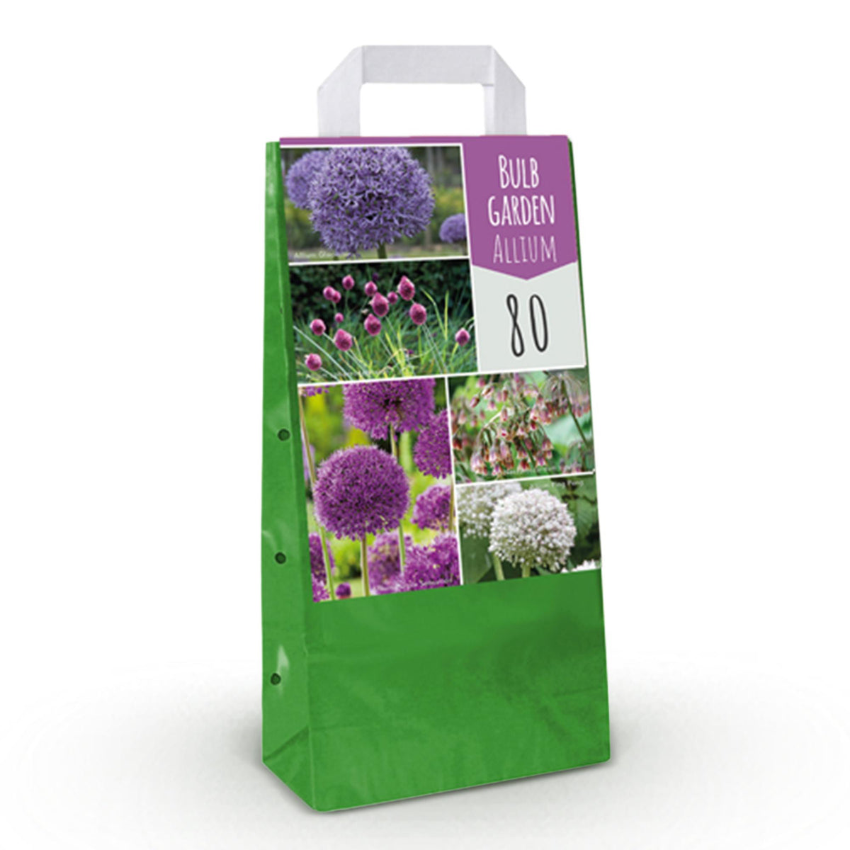 Ail d'ornement en mélange - calibre 10/12