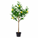 Citronnier artificiel h150cm