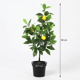 Citronnier plante artificielle