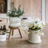 Orchidée Phalaenopsis blanche Botanic Nazaré avec cache-pot Melody crème - H 30 cm, pot Ø9 cm