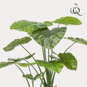 Alocasia plante artificielle