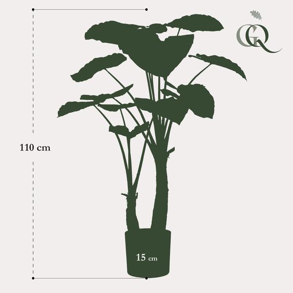Alocasia plante artificielle