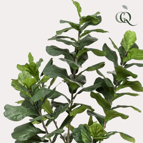 Kunstplant - Ficus Lyrata - Tabaksplant - 210 cm