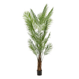Plantas artísticas - Areca Lutescens - Goudpalm - 240cm