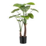Alocasia plante artificielle