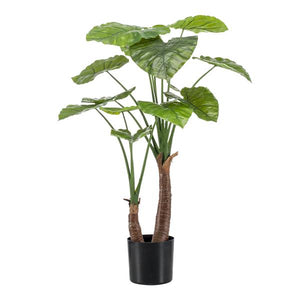 Alocasia plante artificielle