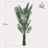 Plantas artísticas - Areca Lutescens - Goudpalm - 240cm