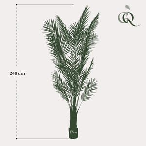 Plantas artísticas - Areca Lutescens - Goudpalm - 240cm