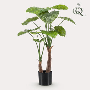Alocasia plante artificielle