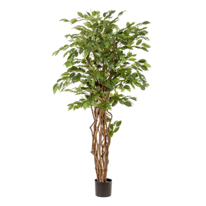 Ficus Liana plante artificielle