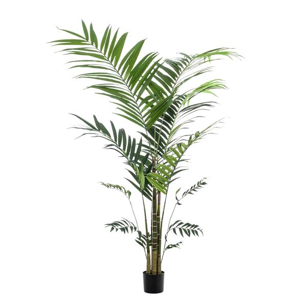 Planta artística - Kentia -Kentiapalm - 210cm