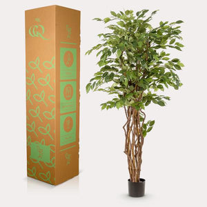 Ficus Liana plante artificielle