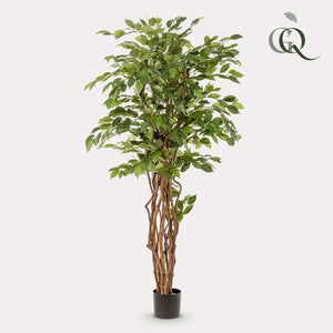 Ficus Liana plante artificielle