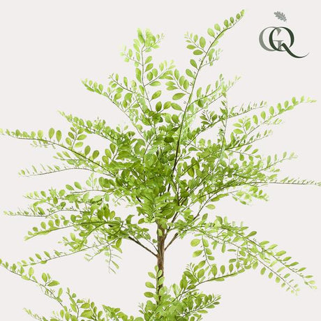 Sophora Arbuste plante artificielle