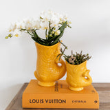 Orquídeas Kolibri | Orquídea Witte phalaenopsis - Nazaré - potmaat Ø9cm | bloeiende kamerplant - vers van de kweker