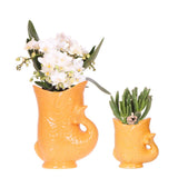Orquídeas Kolibri | Conjunto Witte Orquídea Nazaré em suculenta em Peixe sierpot laranja - potmaat Ø9cm & Ø6cm | bloeiende kamerplant - vers van de kweker
